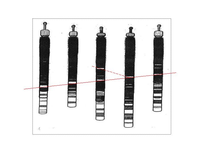 BackboneFlameChainAB_0287.jpg