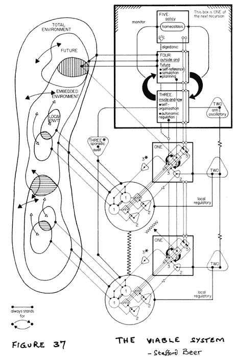 S136_VSM.gif