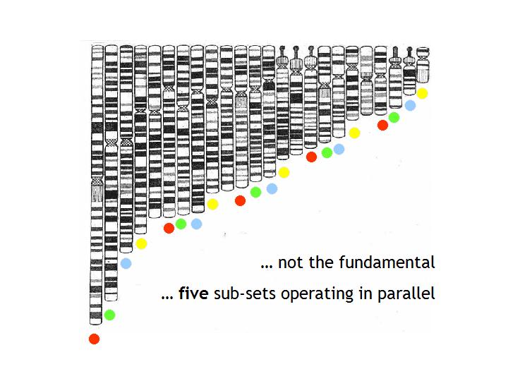 Slide8.JPG