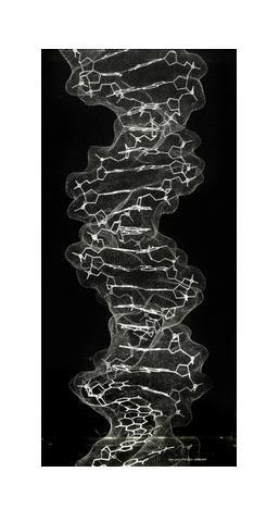 bphoto_DNA.jpg