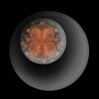 cell_cycle_animation.gif