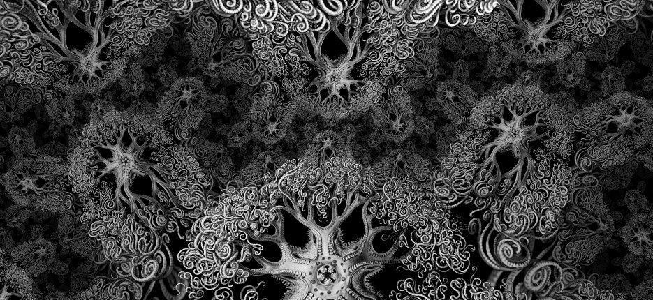 haeckelcovers3.jpg