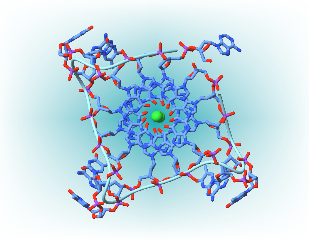 nucleicacid.jpg